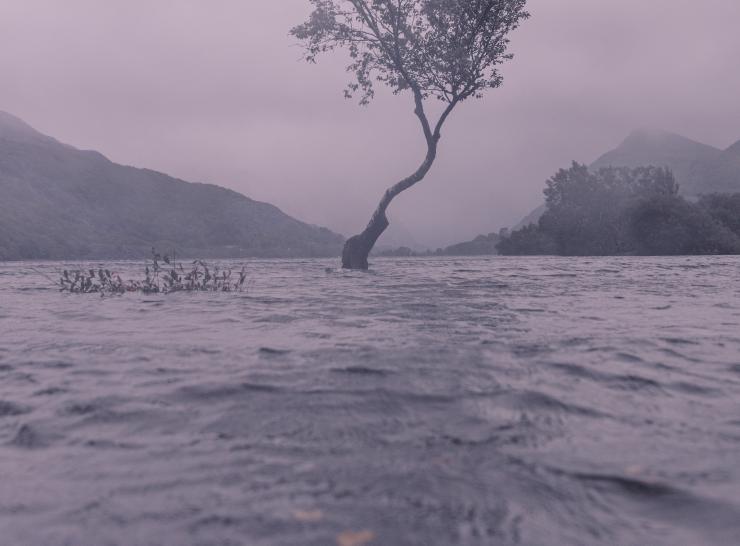 Flood