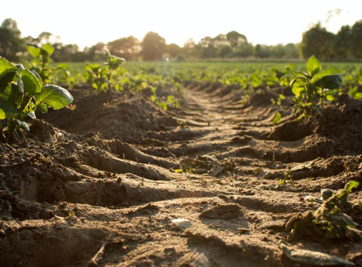 Soil Erosion