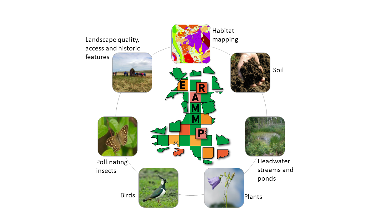 The ERAMMP National Field Survey NFS survey graphic